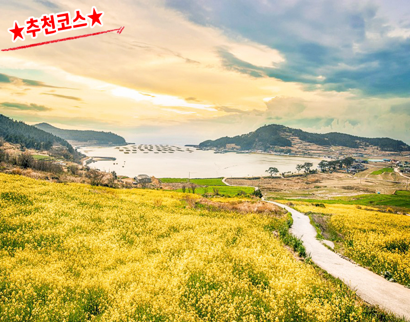 [C-21A] 슬로우시티 청산도 무박+완도 일출+완도타워