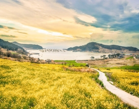 [C-21A] 슬로우시티 청산도 무박+완도 일출+완도타워