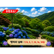 [C-23B] 곤지암 화담숲 수국축제+황포돛배&신륵사+이천돌솥밥정식