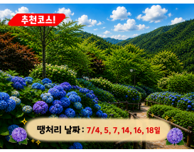 [C-23B] 곤지암 화담숲 수국축제+황포돛배&신륵사+이천돌솥밥정식