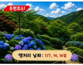 [C-23B] 곤지암 화담숲 수국축제+황포돛배&신륵사+이천돌솥밥정식