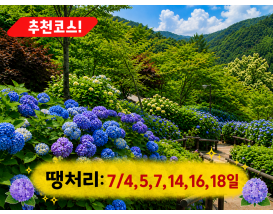 [C-23B] 곤지암 화담숲 수국축제+황포돛배&신륵사+이천돌솥밥정식