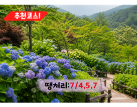 [C-23B] 곤지암 화담숲 수국축제+황포돛배&신륵사+이천돌솥밥정식