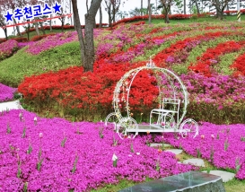 [C-27A] 추천코스 홍성 솔바람테마파크 철쭉/꽃잔디+남당항+홍성스카이타워