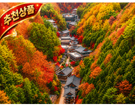 [C-29C] 단양 구인사 단풍+시루섬 생태 탐방교