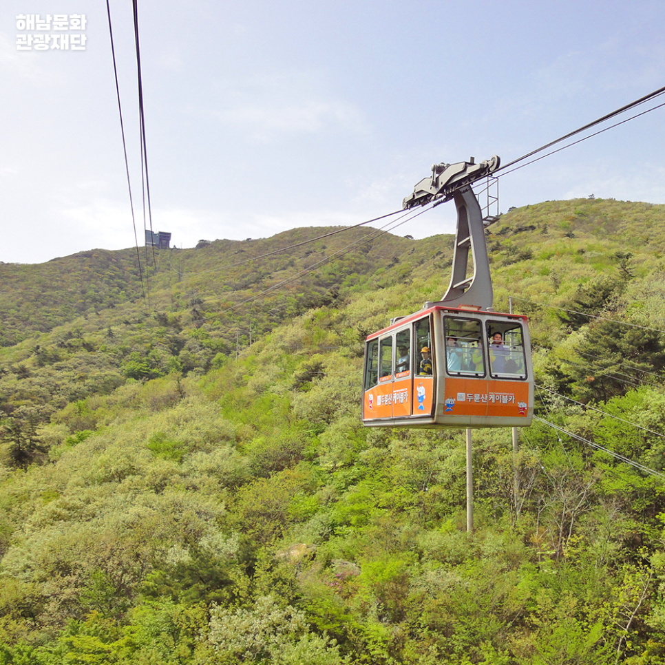 [C-30] 강진 남미륵사 봄꽃+가우도 출렁다리+두륜산 케이블카 무박