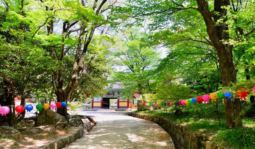 [C-30] 강진 남미륵사 봄꽃+가우도 출렁다리+두륜산 케이블카 무박