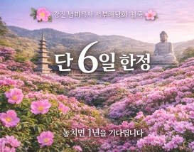 [C-30] 강진 남미륵사 봄꽃+가우도 출렁다리+두륜산 케이블카 무박