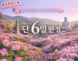 [C-30] 강진 남미륵사 봄꽃+가우도 출렁다리+두륜산 케이블카 무박