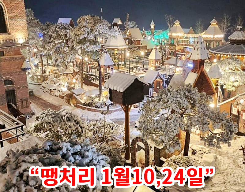 [C-31D] 여주 루덴시아 야경+원주 치악산둘레길+스톤크릭 빙벽카페