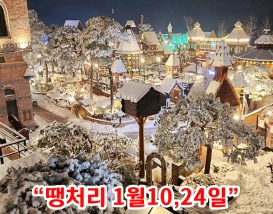 [C-31D] 여주 루덴시아 야경+원주 치악산둘레길+스톤크릭 빙벽카페