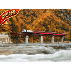 [C-34D] 강원도 백두대간협곡열차(분천-철암)+태백 철암단풍축제+영주 소수서원&선비촌 단풍여행