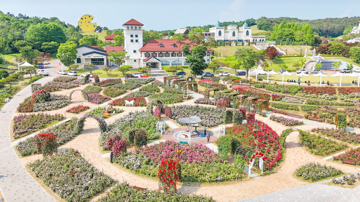 [C-37B] 임실 치즈테마파크 장미축제+옥정호 붕어섬생태공원&출렁다리