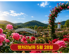 [C-37B] 임실 치즈테마파크 장미축제+옥정호 붕어섬생태공원&출렁다리