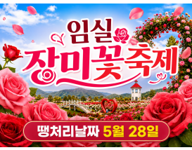 [C-37B] 임실 치즈테마파크 장미축제+옥정호 붕어섬생태공원&출렁다리