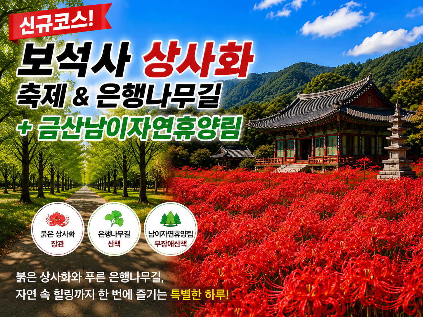 [C-39C]신규코스! 보석사 상사화축제+금산 남이자연휴양림
