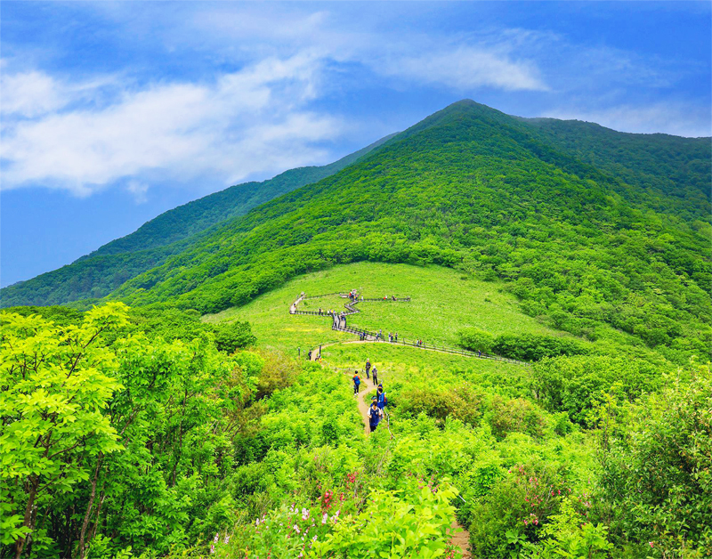[C-40C] 천상화원 인제 점봉산 곰배령 탐방여행