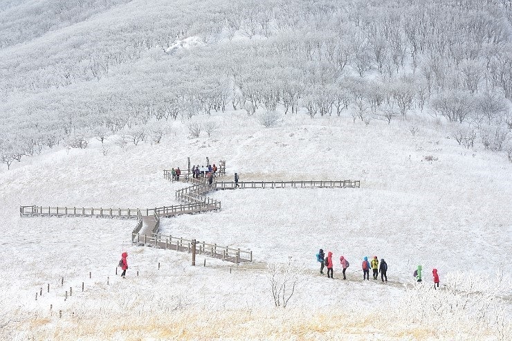[C-40C] 천상화원 인제 점봉산 곰배령 설경 탐방여행