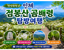 [C-40C] 천상화원 인제 점봉산 곰배령 탐방여행