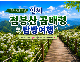 [C-40C] 천상화원 인제 점봉산 곰배령 탐방여행