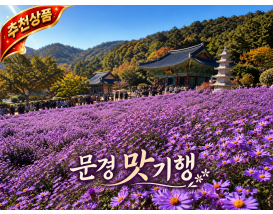 [C-42C] 문경새재 도립공원+봉천사 개미취축제