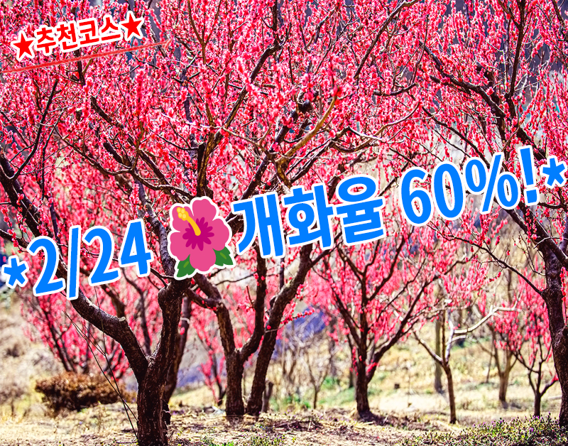 [C-48A] 부산 기장 매화원+부산 해변열차