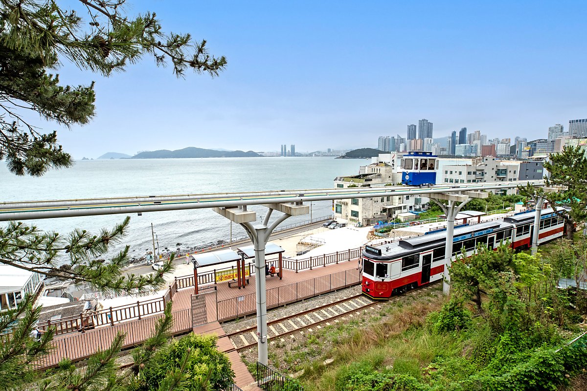 [C-48A] 부산 기장 매화원+부산 해변열차