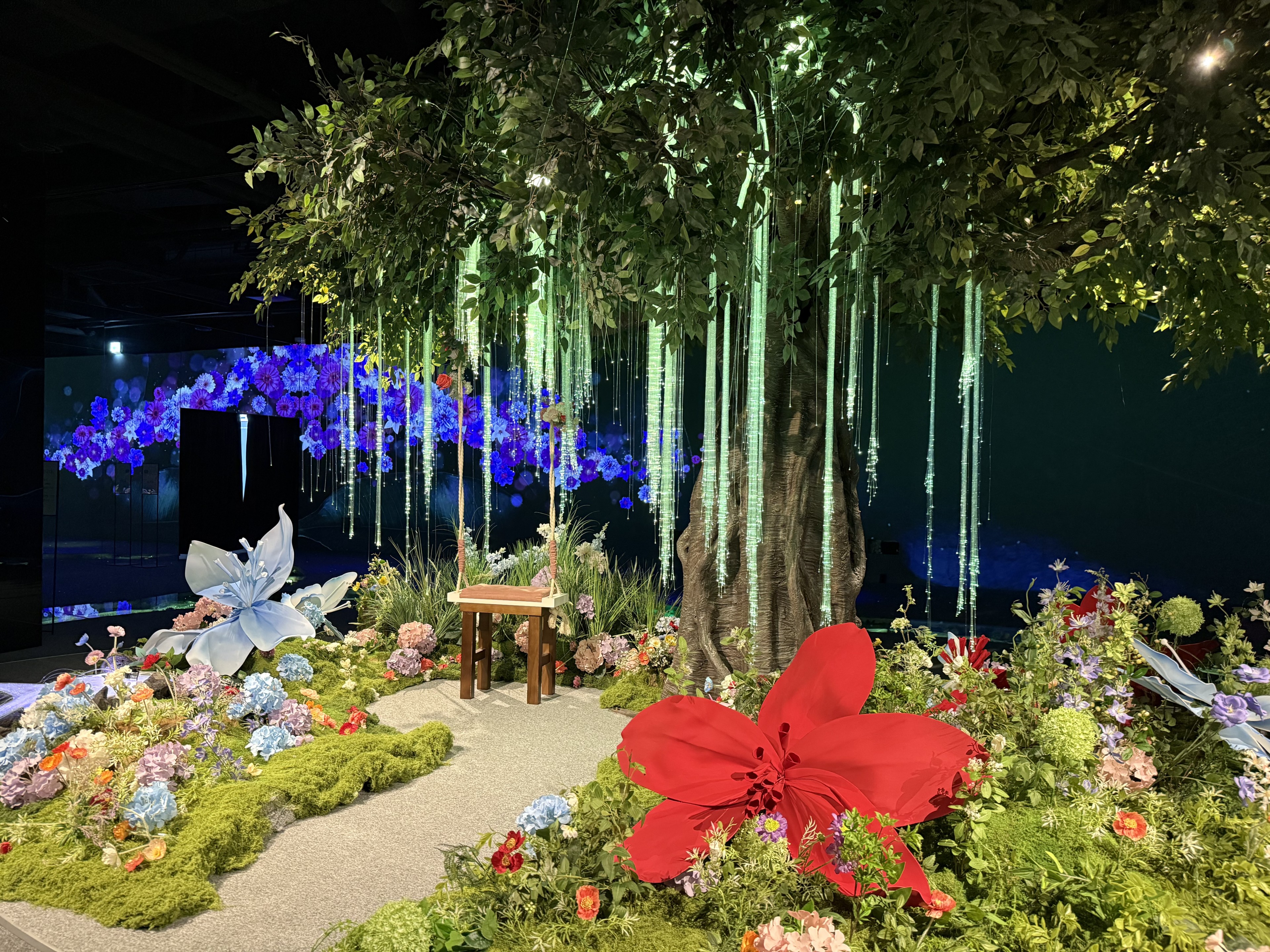 [C-51A] 광양매화마을+남원 피오리움 미디어아트+승월교