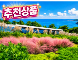[C-53C] 태안의 섬속의 섬 나문재+서산국화축제+서산한우힐링숲길