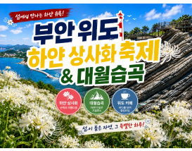 [C-56C] 신규코스! 하얀상사화+대월습곡+고슴도치의 섬