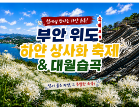 [C-56C] 신규코스! 하얀상사화+대월습곡+고슴도치의 섬