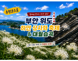 [C-56C] 신규코스! 하얀상사화+대월습곡+고슴도치의 섬