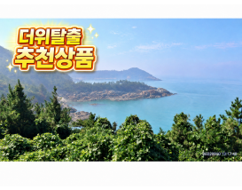 [C-56C] 신규코스! 부안 위도 하얀상사화+대월습곡+고슴도치의 섬
