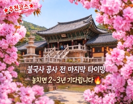 [C-59A] 추천코스 경주 불국사 왕벚꽃+첨성대 유채꽃+동궁과 월지 야경