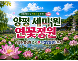 [C-68] 양평 세미원 연꽃정원+남양주 봉선사 연꽃+이천쌀밥정식 특식