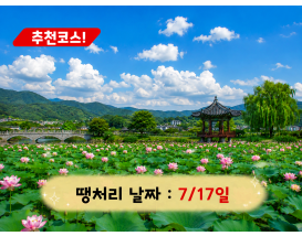 [C-68] 양평 세미원 연꽃정원+남양주 봉선사 연꽃+이천쌀밥정식 특식