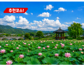 [C-68] 양평 세미원 연꽃정원+남양주 봉선사 연꽃+이천쌀밥정식 특식