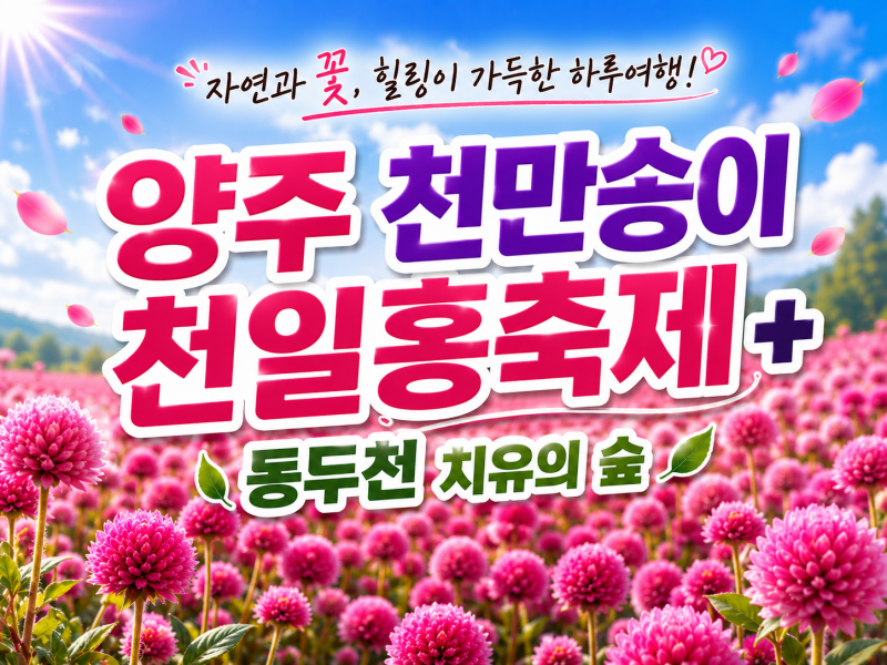 [C-68C] 양주 천만송이 천일홍축제+동두천 치유의 숲