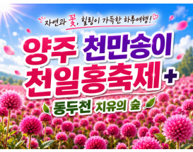 [C-68C] 양주 천만송이 천일홍축제+동두천 치유의 숲