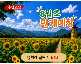 [C-70] 태백 해바라기축제+국내최초 건식동굴 용연동굴+한강발원지 검룡소