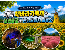 [C-70] 태백 해바라기축제+국내최초 건식동굴 용연동굴+한강발원지 검룡소
