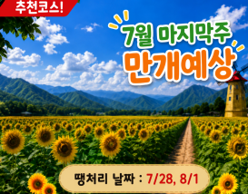 [C-70] 태백 해바라기축제+국내최초 건식동굴 용연동굴+한강발원지 검룡소