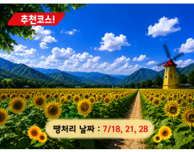 [C-70] 태백 해바라기축제+국내최초 건식동굴 용연동굴+한강발원지 검룡소