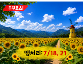 [C-70] 태백 해바라기축제+국내최초 건식동굴 용연동굴+한강발원지 검룡소