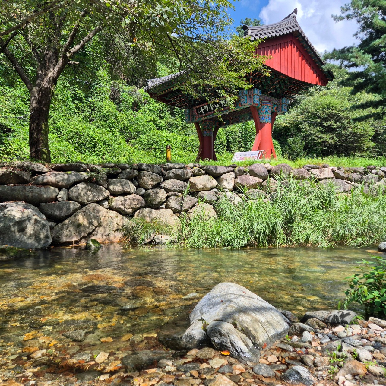 [C-75B] 용문사 은행나무길+양평 사나사계곡