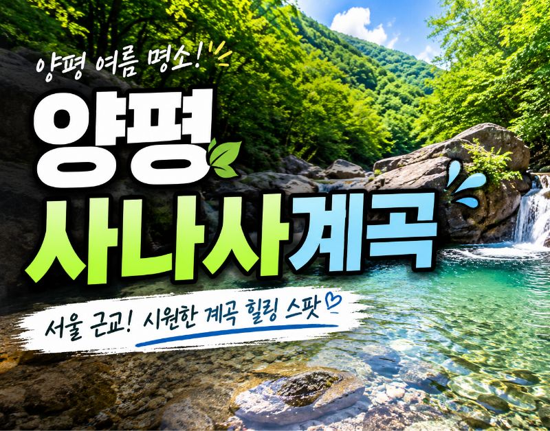 [C-75B] 용문사 은행나무길+양평 사나사계곡