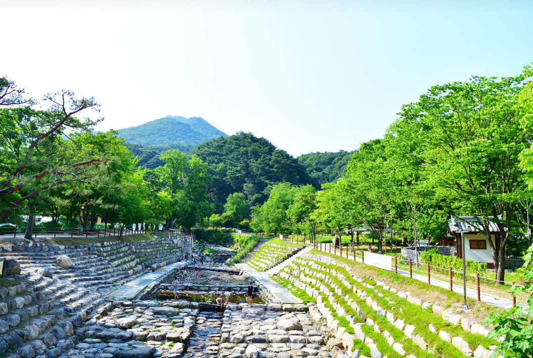 [C-75B] 용문사 은행나무길+양평 사나사계곡