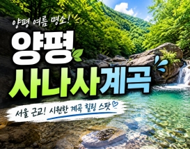 [C-75B] 용문사 은행나무길+양평 사나사계곡