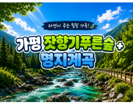 [C-81B] 가평 잣향기푸른숲+명지계곡