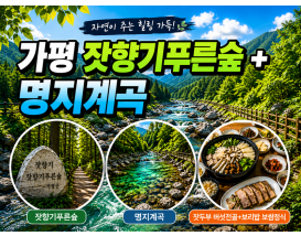 [C-81B] 가평 잣향기푸른숲+명지계곡